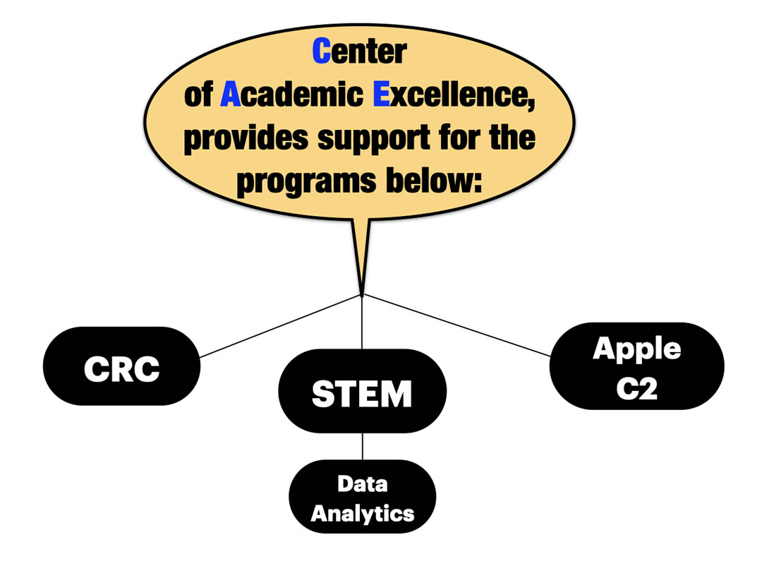 Center of Academic Excellence, provides support for the programs below: CRC, STEM (big data), Apple C2