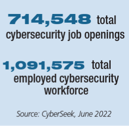 Cybersecurity Workforce Infographic
