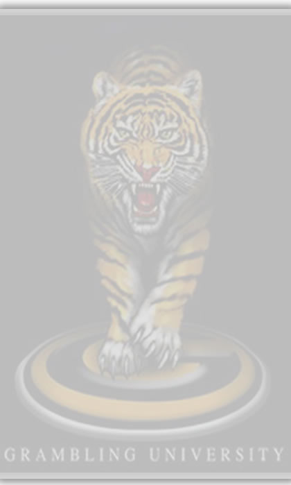 GSU Tiger Image