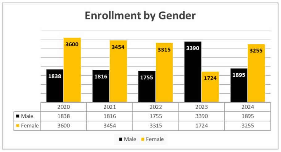 Enrollment By Race - Data Dashboard (Fall 2024)