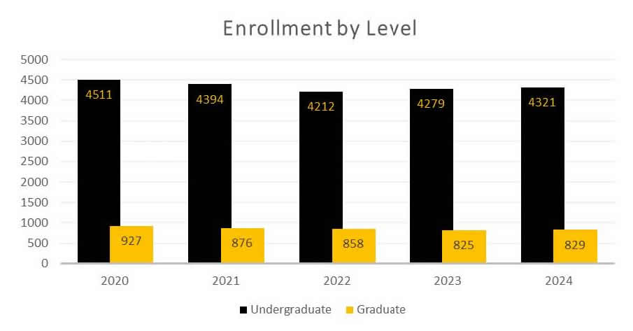 Enrollment By Level - Data Dashboard (Fall 2024)