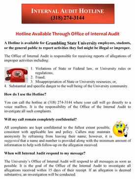 Internal Audit Hotline Flyer