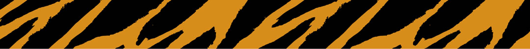 Tiger Stripe Pattern - header image