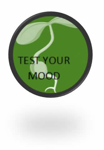 Test Your Mood